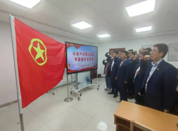 市產(chǎn)投集團團委召開2021年度專題組織生活會(圖5) 市產(chǎn)投集團團委召開2021年度專題組織生活會(圖5)