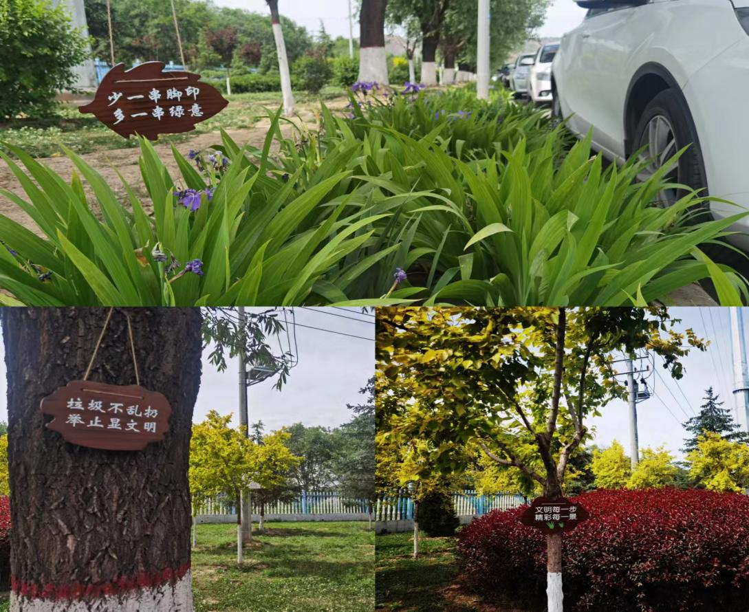 立足精細化管護 助推綠化水平提升(圖2) 立足精細化管護 助推綠化水平提升(圖2)